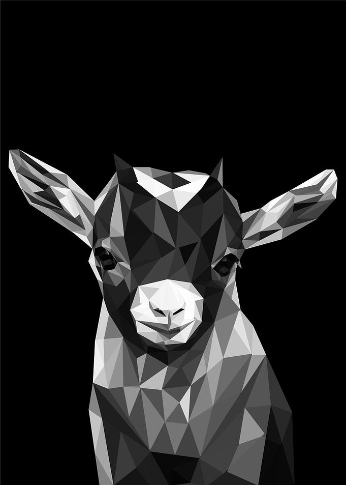 nursery animal baby goat