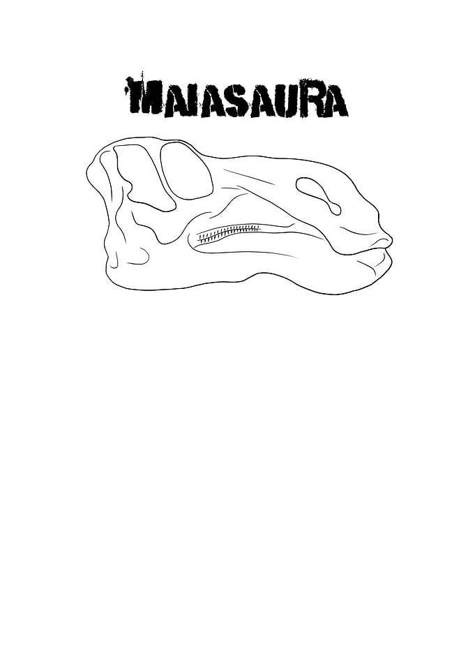 Dinosaurier Maiasaura