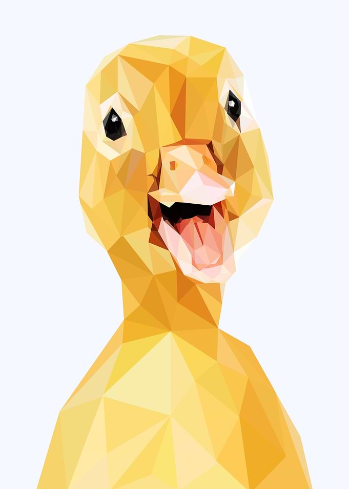 nursery animal duck