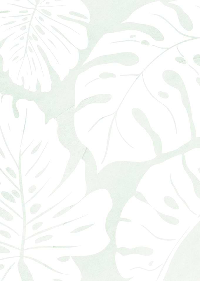 Window Leafes