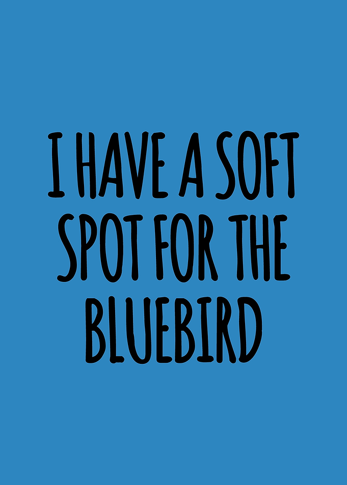 Soft spot for the bluebird