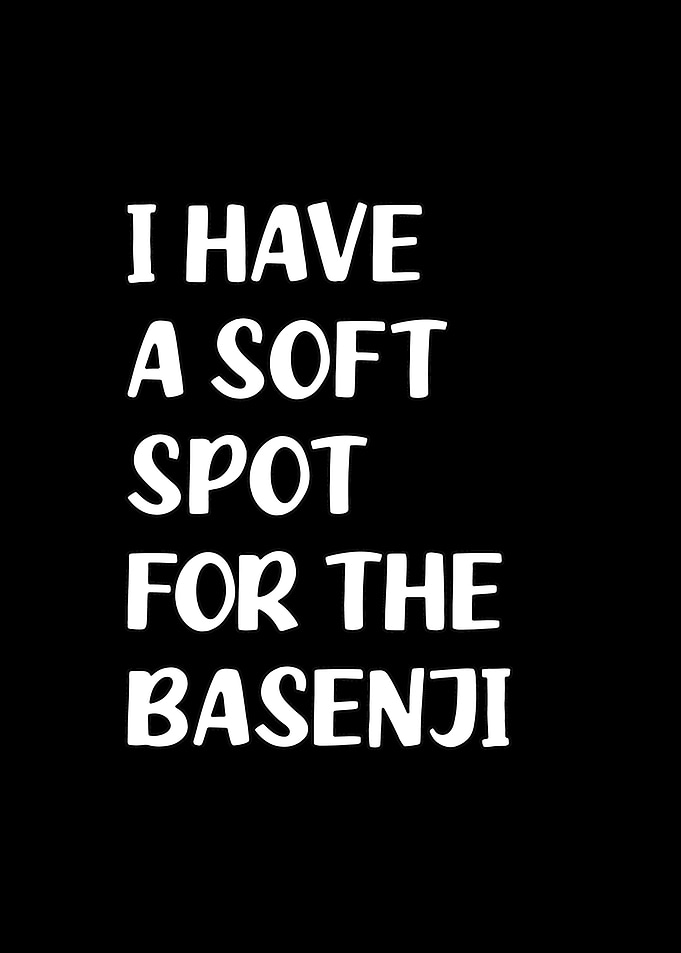 Soft spot for the Basenji