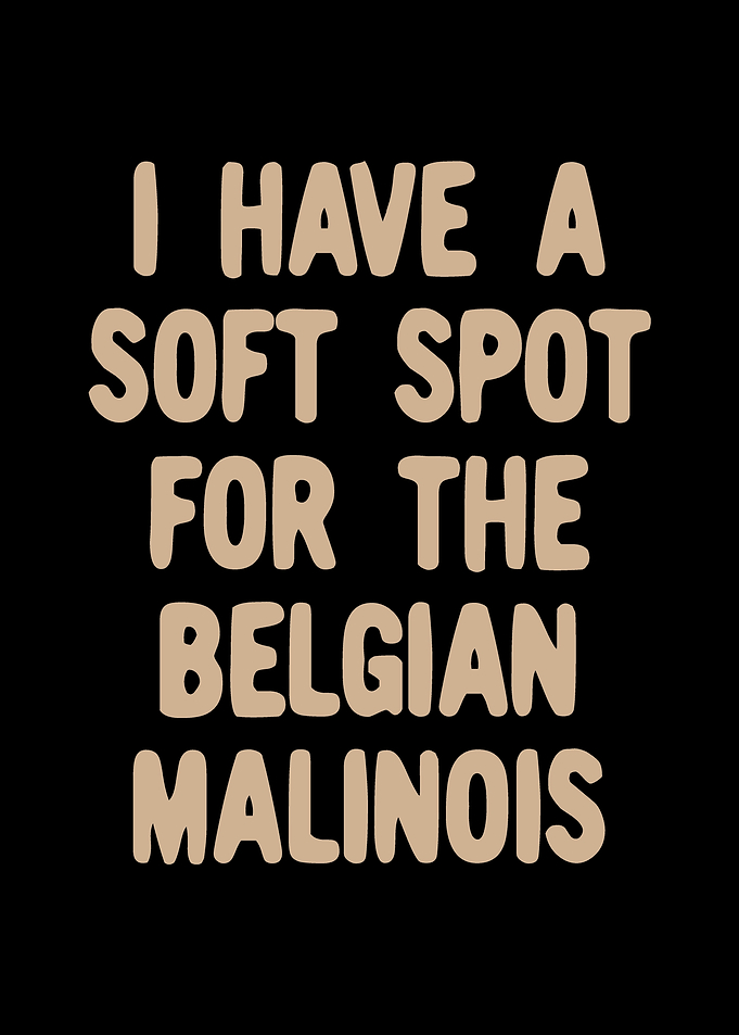 Belgian Malinois