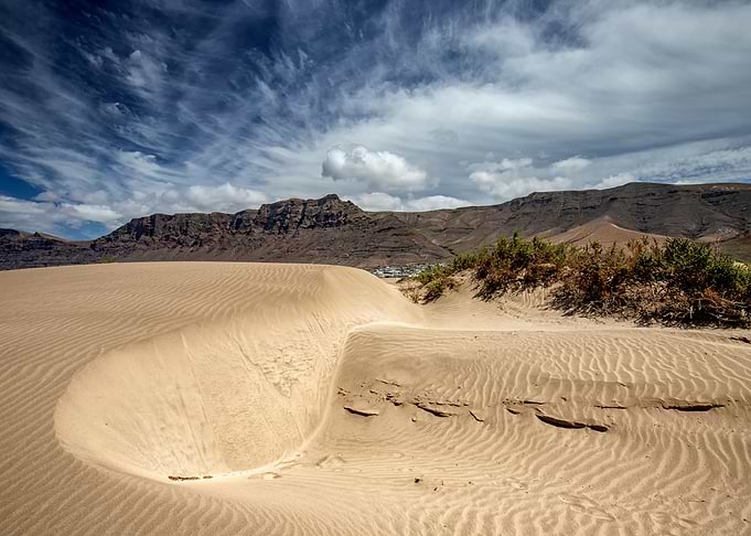 Sand dunes by the beach