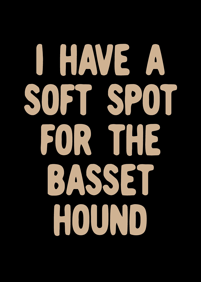 Basset Hound