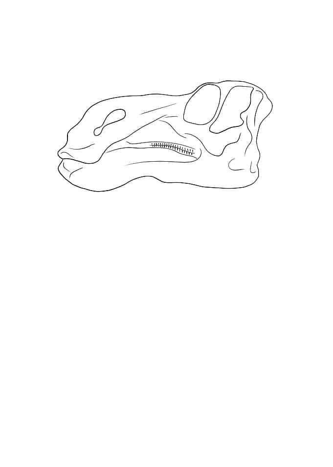 Dinosaurier Maiasaura