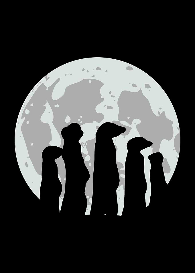 Meerkat Moon Silhouette