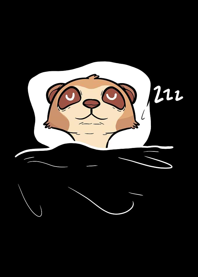 Meerkat Sleeping
