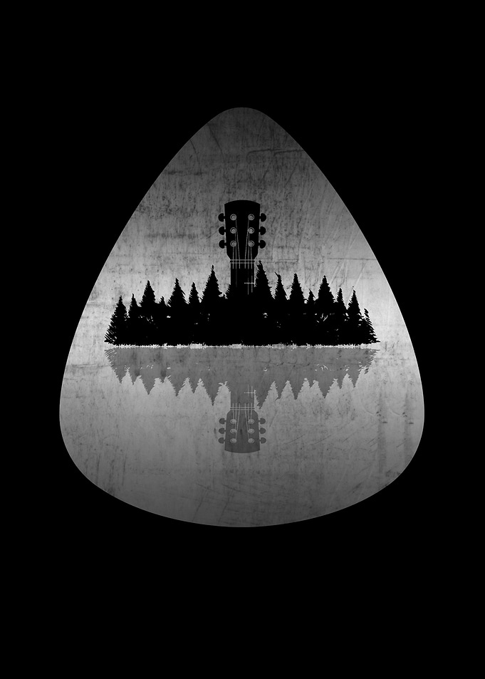 Guitarist Guitar Pick