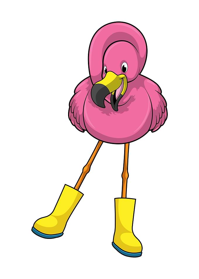 Flamingo Rubber boots