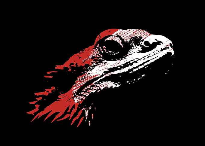 Lizard