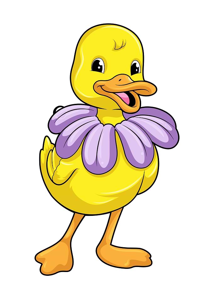 Duck Daisy Flower