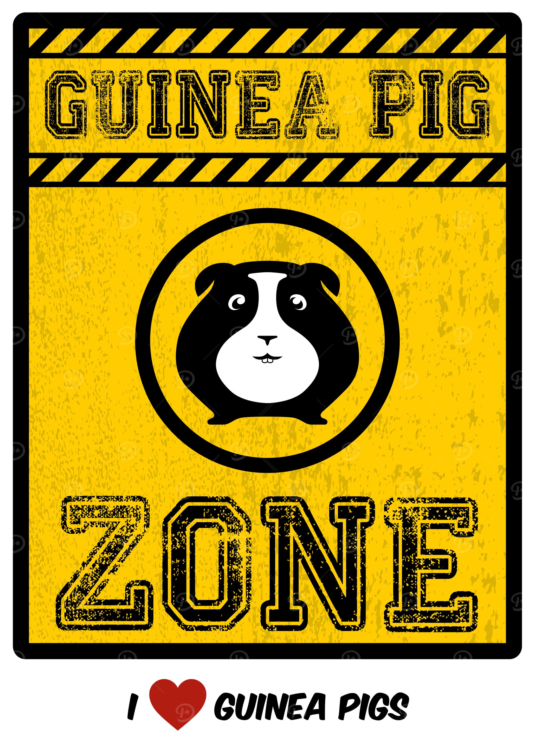Guinea Pig Zone