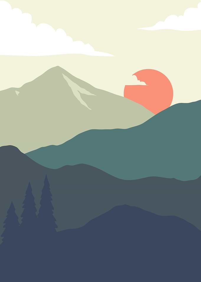 Sun Mountains forest tree