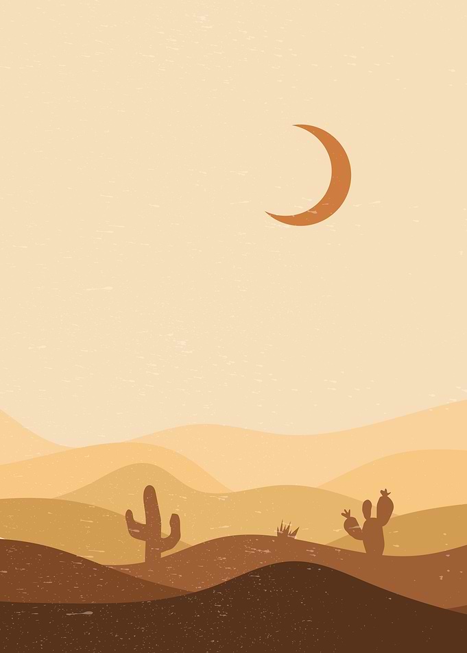 Nature Sunset cactus plant