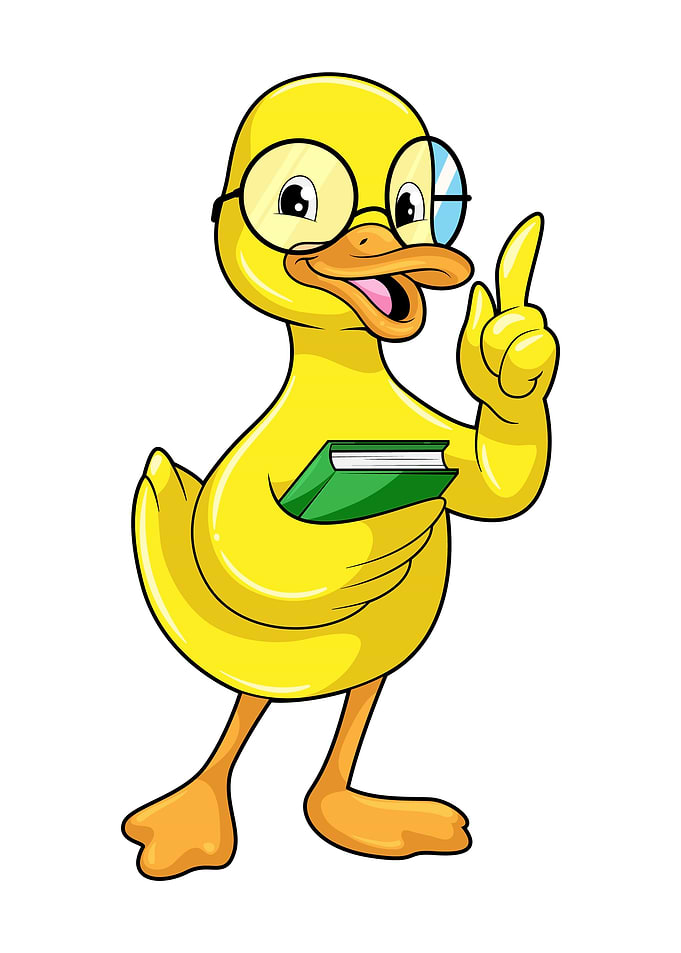 Duck Teacher Glasses