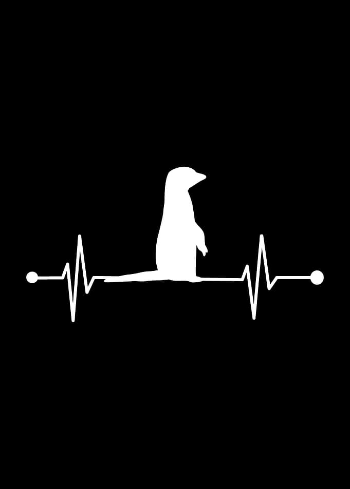 Meerkat Heartbeat