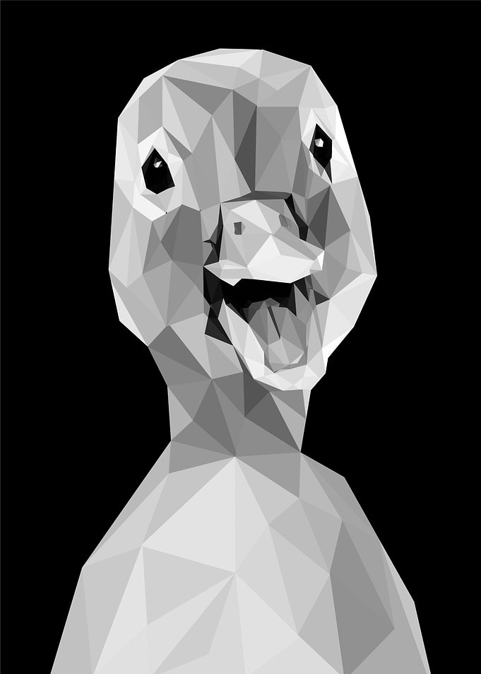 nursery animal duck