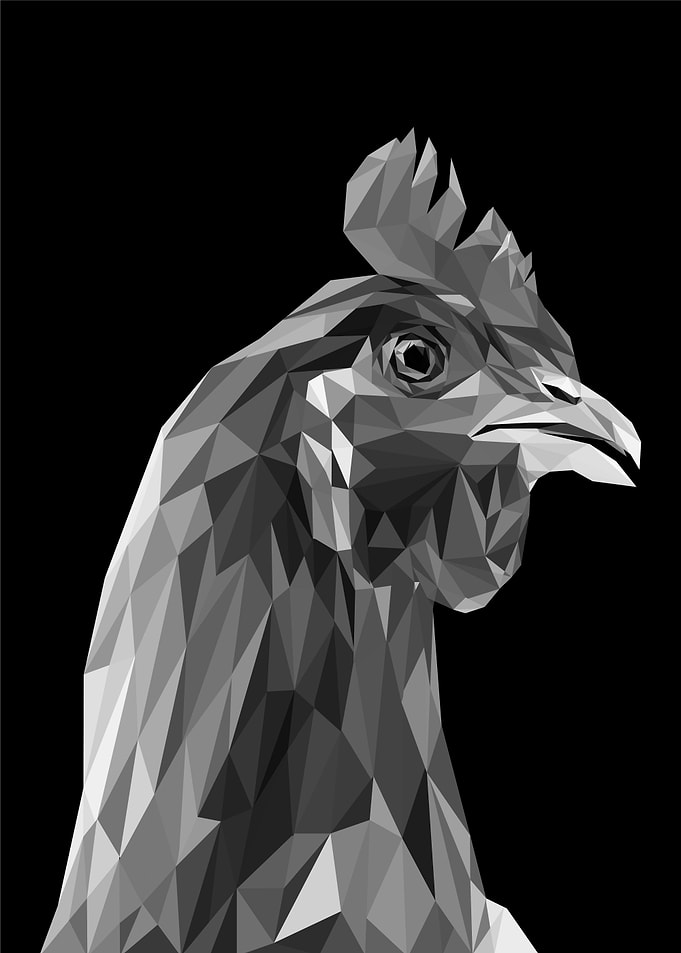 nursery animal rooster