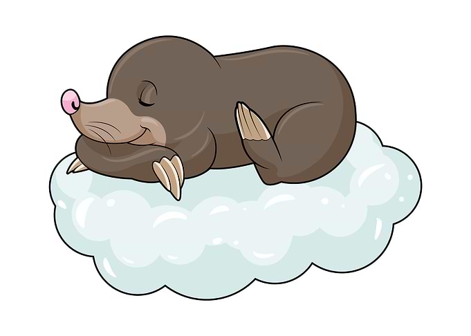 Mole Sleeping Clouds