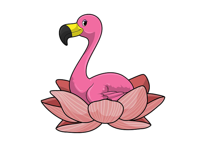 Flamingo Lotus Flower