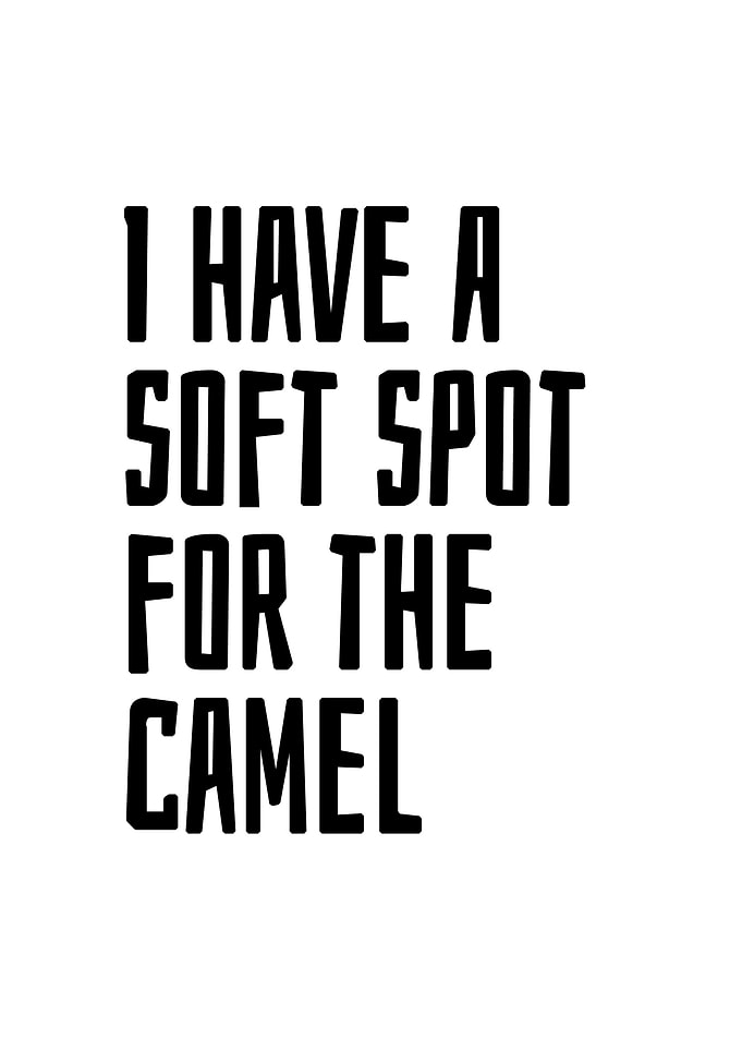 Soft spot for the camel