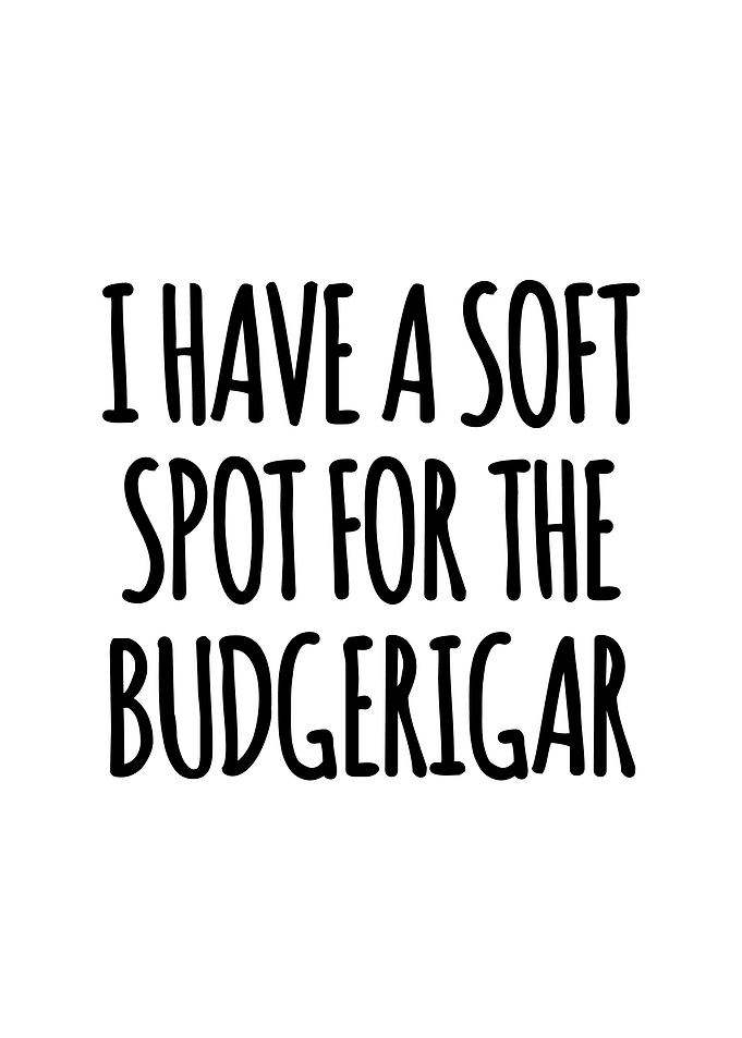 Soft spot for the