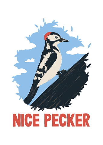 Funny Nice Pecker Bird