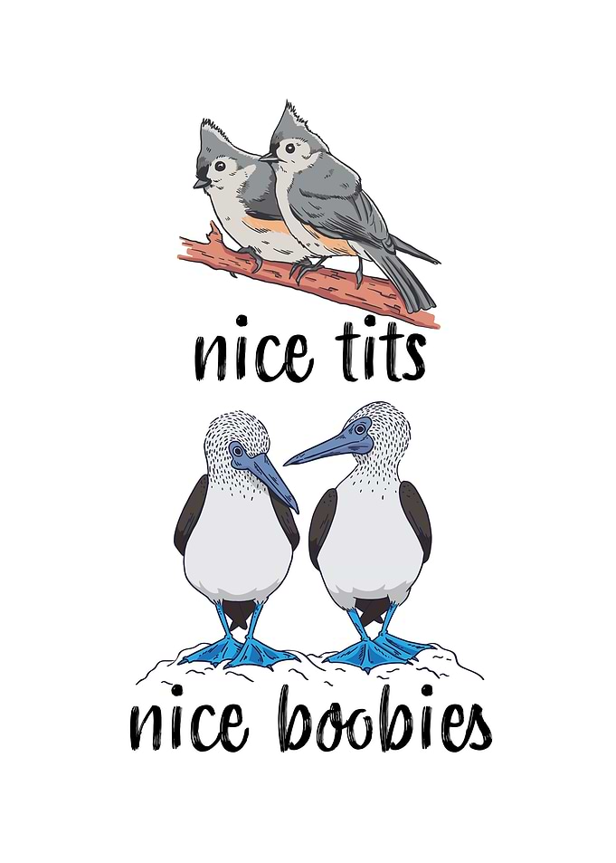 Nice Tits and Nice Boobies
