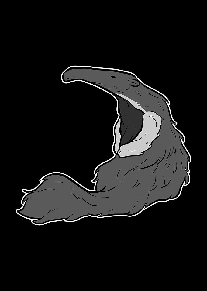Anteater