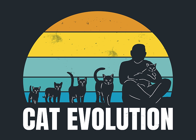 Cat evolution pet