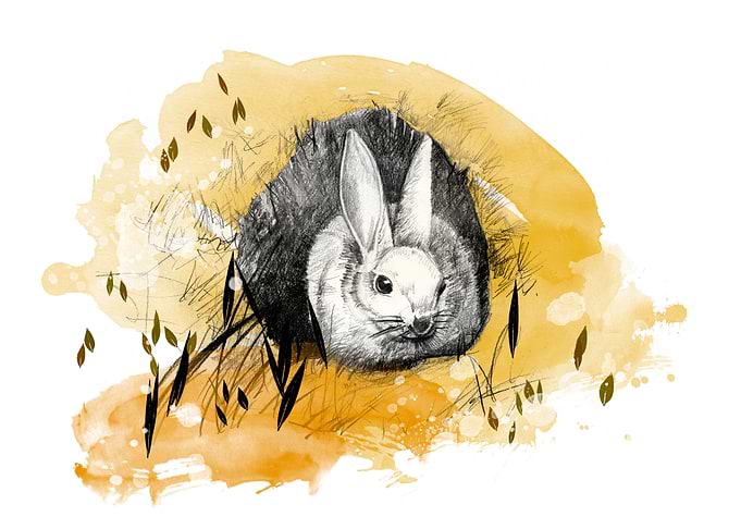 Easter bunny burrow