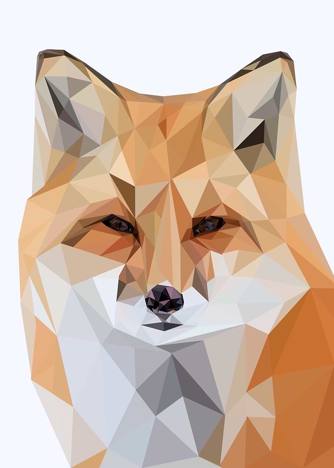 nursery animal fox