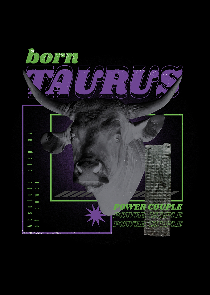 Zodiac Star Sign Taurus