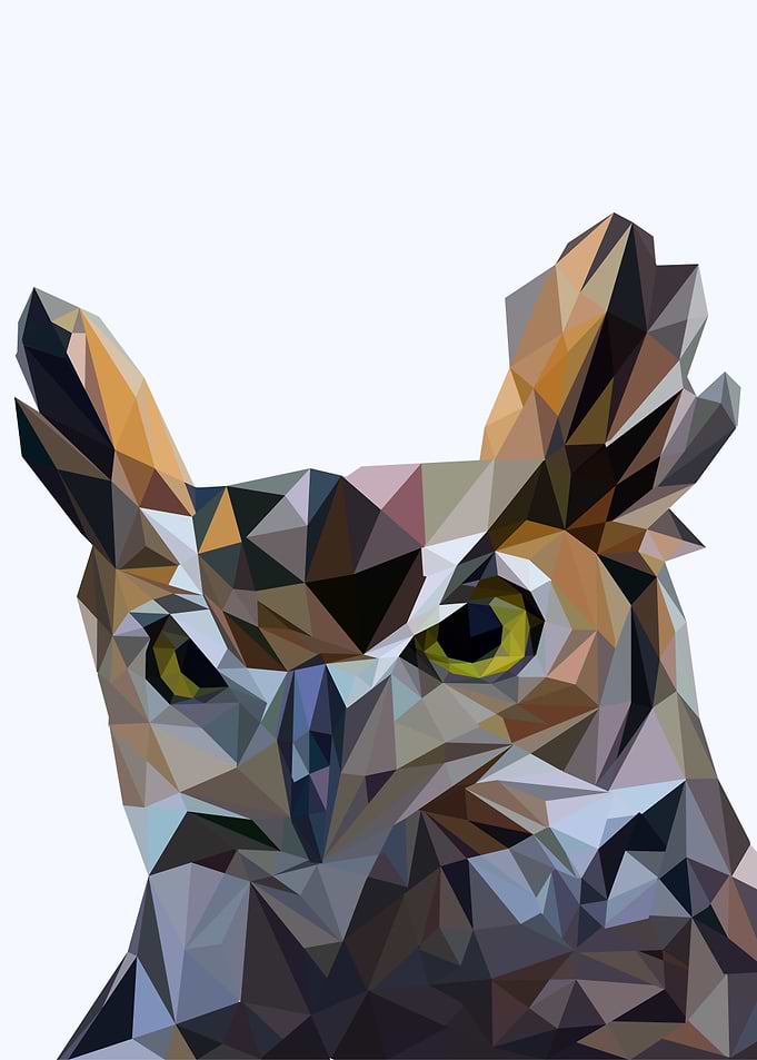 nursery animal owl