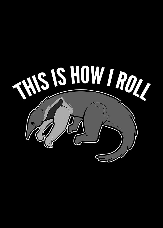 This is How I Roll