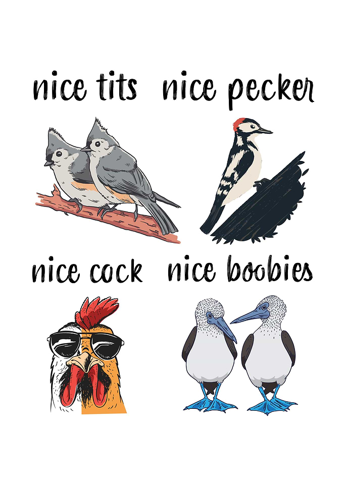 Funny birds nice tits