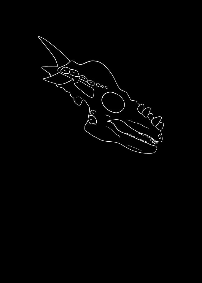Dinosaurier Dracorex