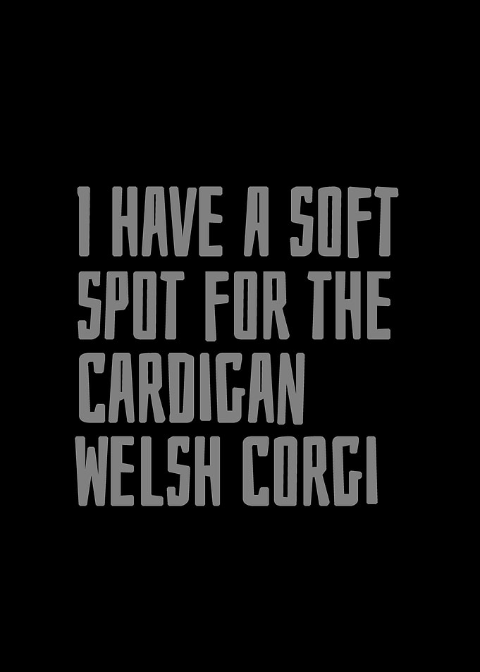 Cardigan Welsh Corgi