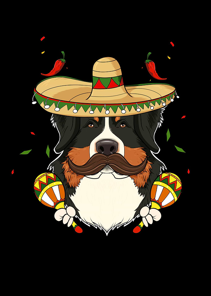 Bernese Mountain Dog