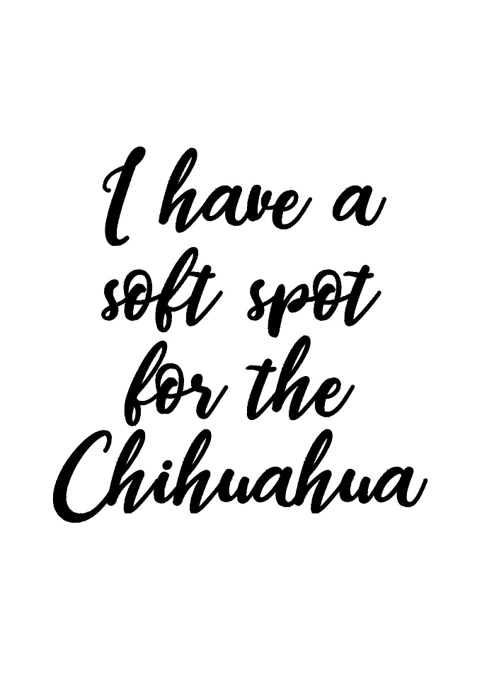 Chihuahua
