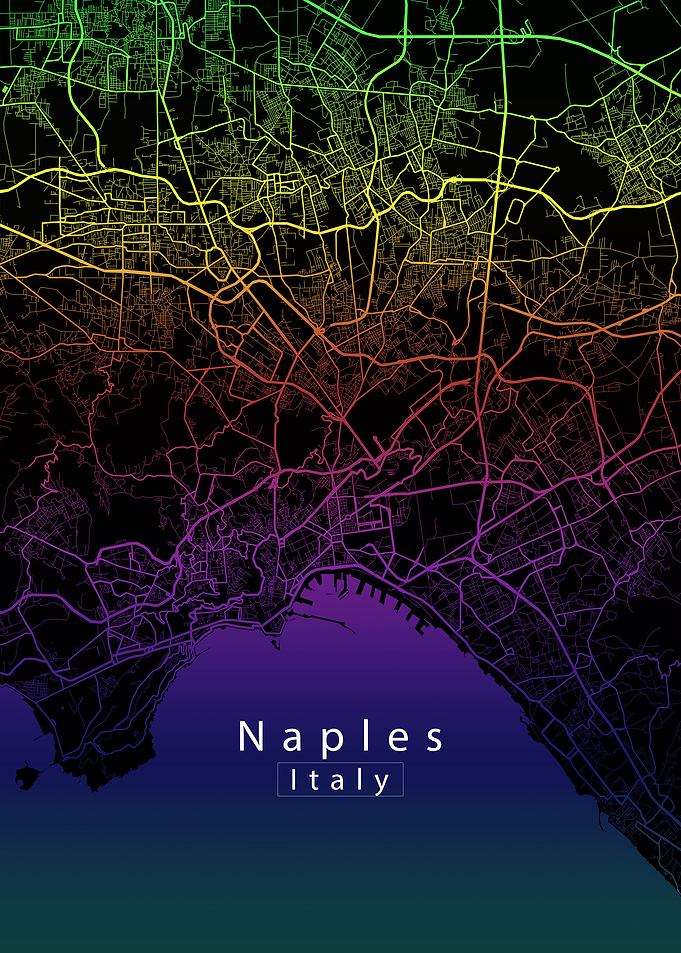 Naples City Map
