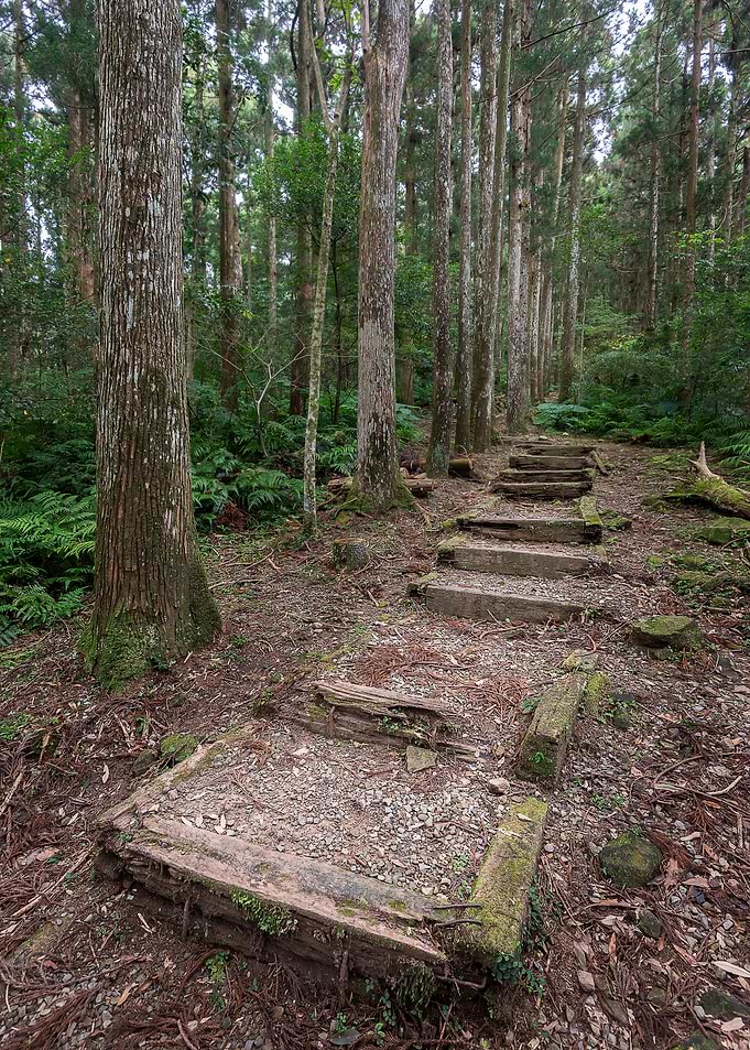 Ecological Step Walk