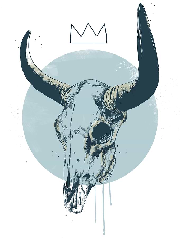 Bull skull