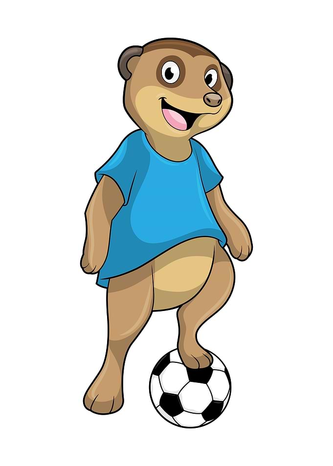 Meerkat Soccer Sports