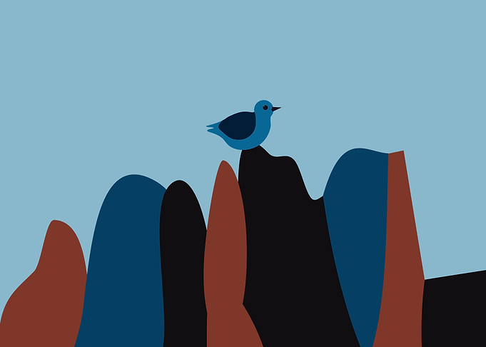 Mountain Bird on Rocks