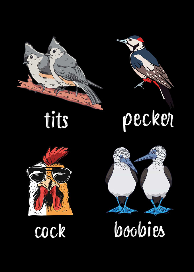 Tits Pecker Cock Boobies