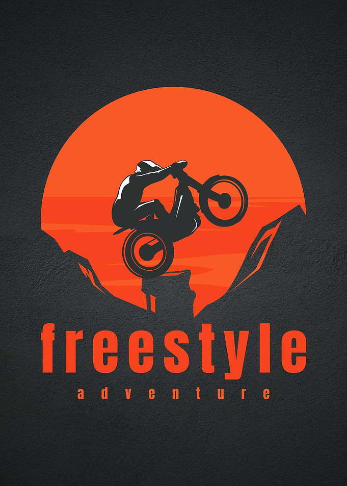 freestyle motorbike art