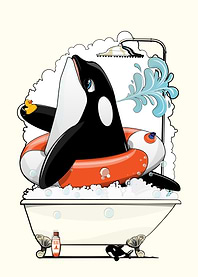 Orca Killer Whale in Bath