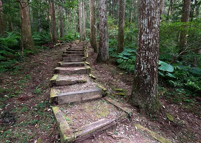 Ecological Step Walk